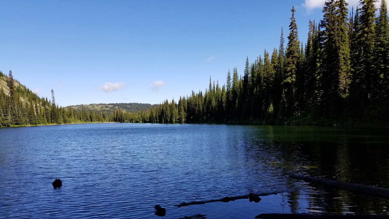 A quiet backcountry lake ringed by evergreen forest under a clear morning sky in British Columbia